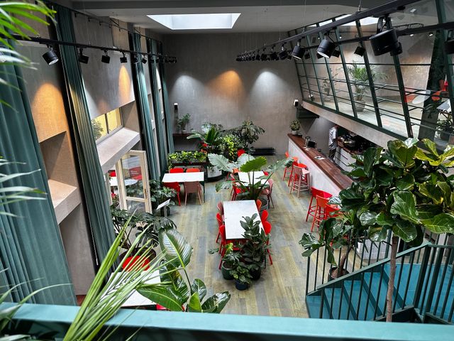 Healthy Longevity Cafe na volnočasové aktivity v Praha 1