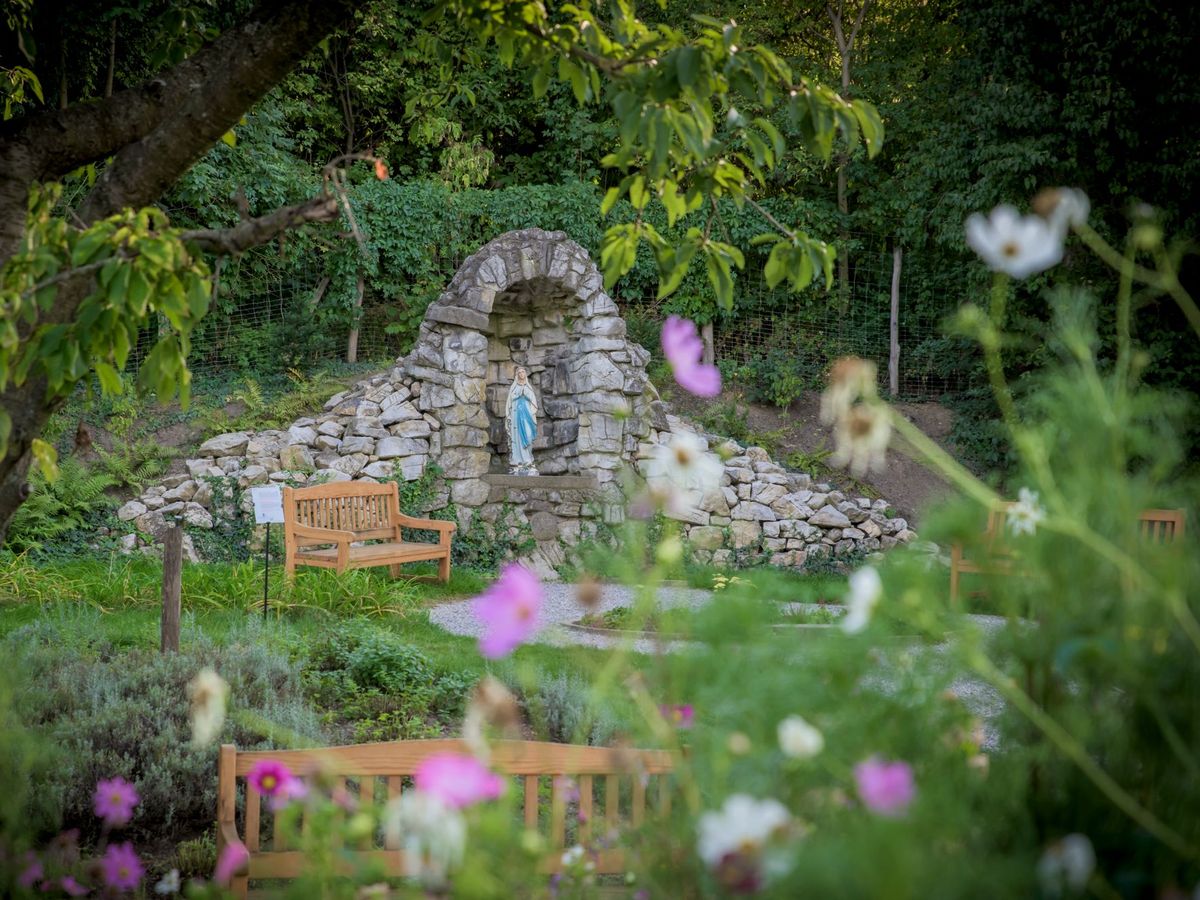 Otevřená zahrada Nadace Partnerství — hlavní fotografie