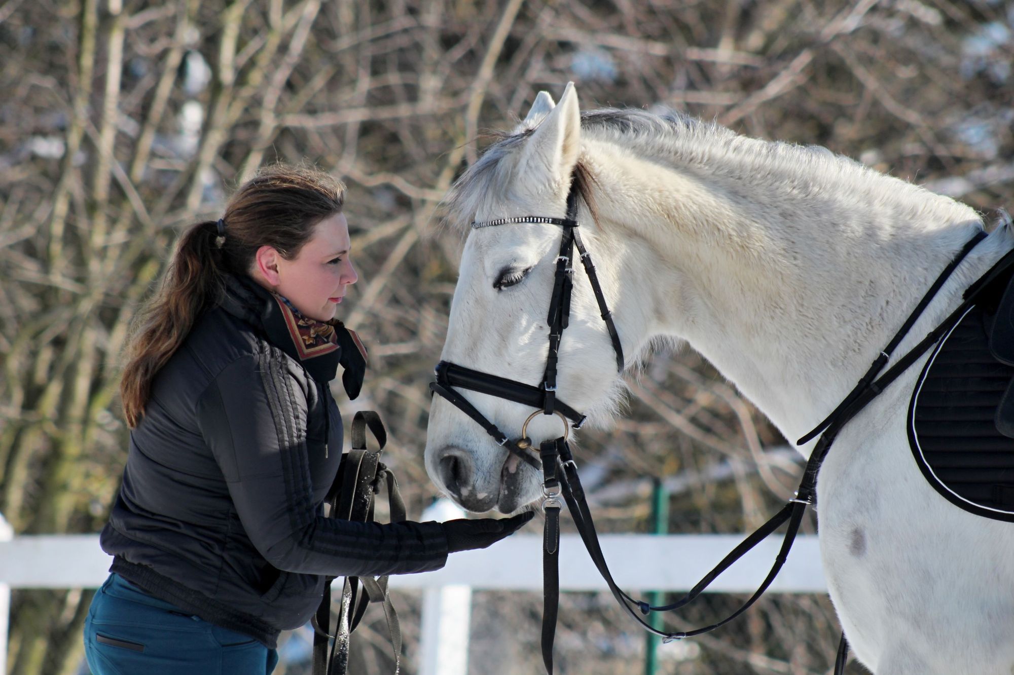 resort  C A R O L I N A, bývalá chalupa, kde trávil dětství, prázdniny Tomáš HOLÝ. - soukromá jízdárna (600 m2) s přilehlými pozemky (1500 m2) a domem 200 m2